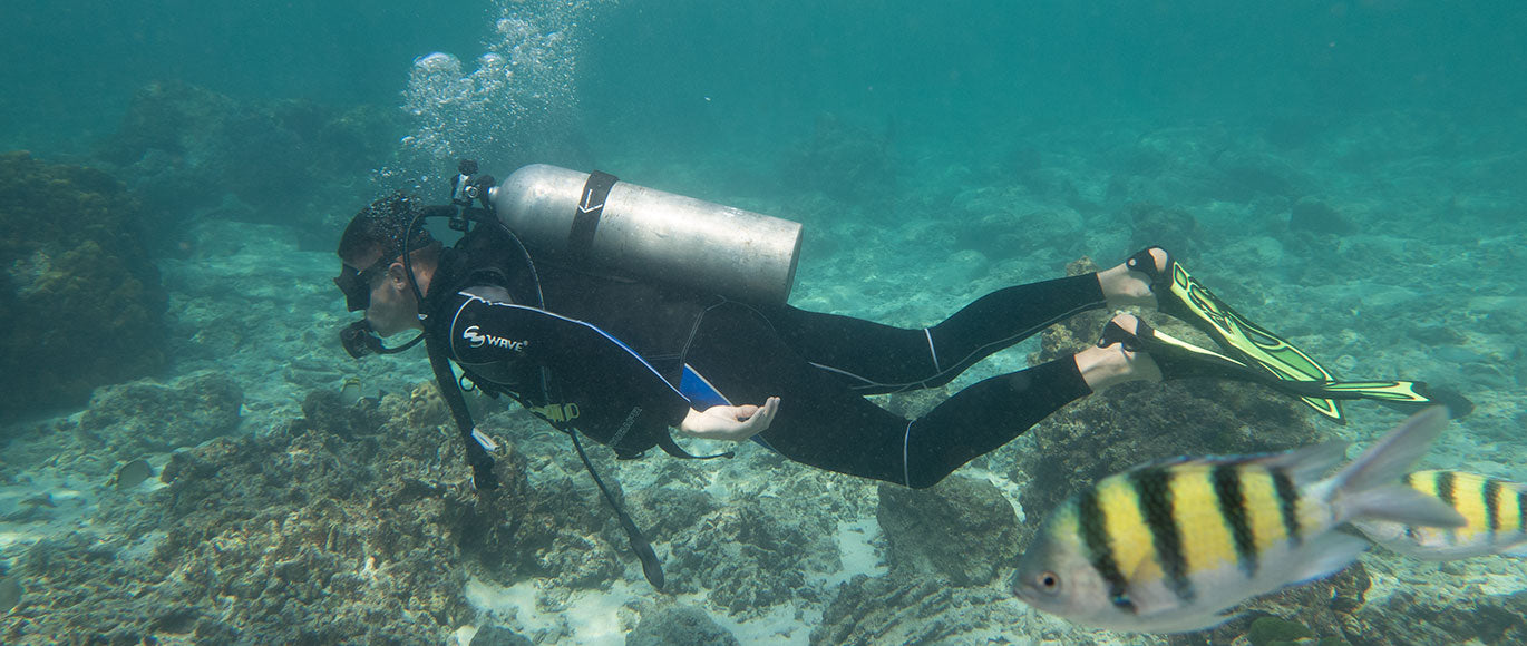 Which flippers are best for beginner divers wave Which flippers are best for beginner divers wave