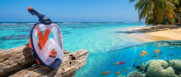 Private Label Full Face Snorkel Mask Sourcing with WAVE