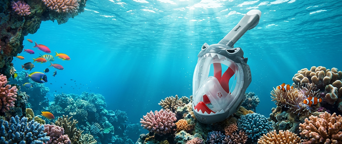 WAVE Full-Face Snorkel Mask Pricing: Private-Label Tradeoffs