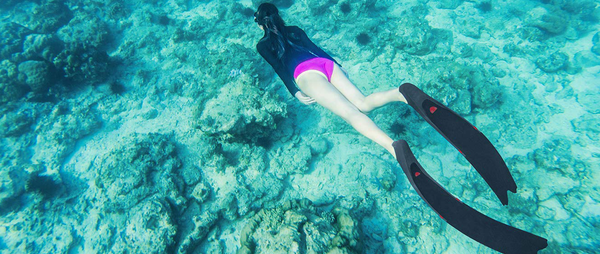 In-Depth Analysis of the Global Long-Blade Fins Market